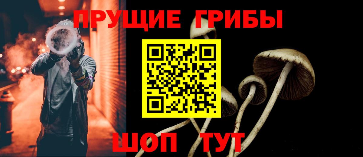 Галлюциногенные грибы Magic Shrooms  Вход с VPN  наркотики  Темрюк  Галлюциногенные грибы Cubensis 