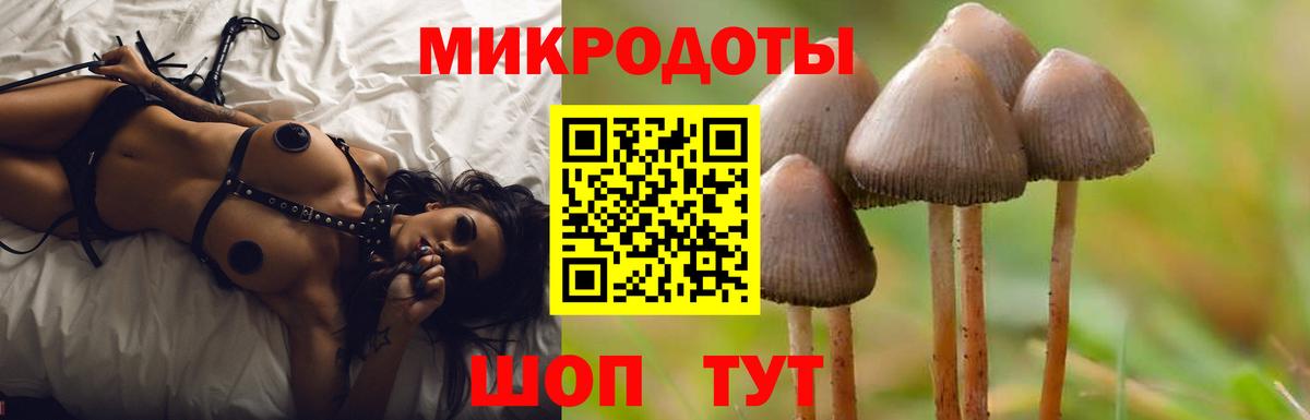 Галлюциногенные грибы MAGIC MUSHROOMS Темрюк